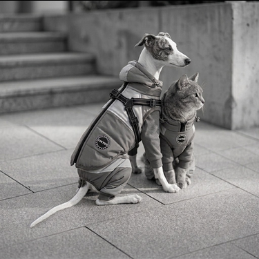 A grayscale outdoor shot of a small dog and a cat sitting together on stone steps. Both pets are wearing matching insulated, hooded winter parkas with utility harnesses and a "PurrPurr" brand patch on the side.