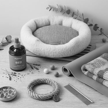Purrpurr cozy pet bed and sleeping accessories in a grayscale flat lay, featuring a plush round cat and dog bed, lavender calming mist, a soft pet blanket, woven rope toy, and grooming comb on a light wooden surface.