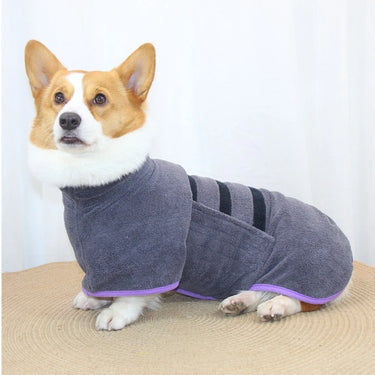 DogRobe