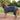 DogRobe