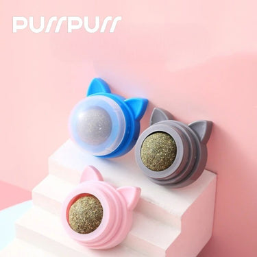 Catnip Ball Toy