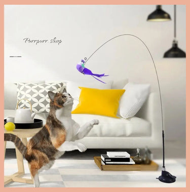 Cat playing with feather bird teaser wand toy with bell